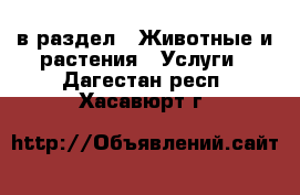  в раздел : Животные и растения » Услуги . Дагестан респ.,Хасавюрт г.